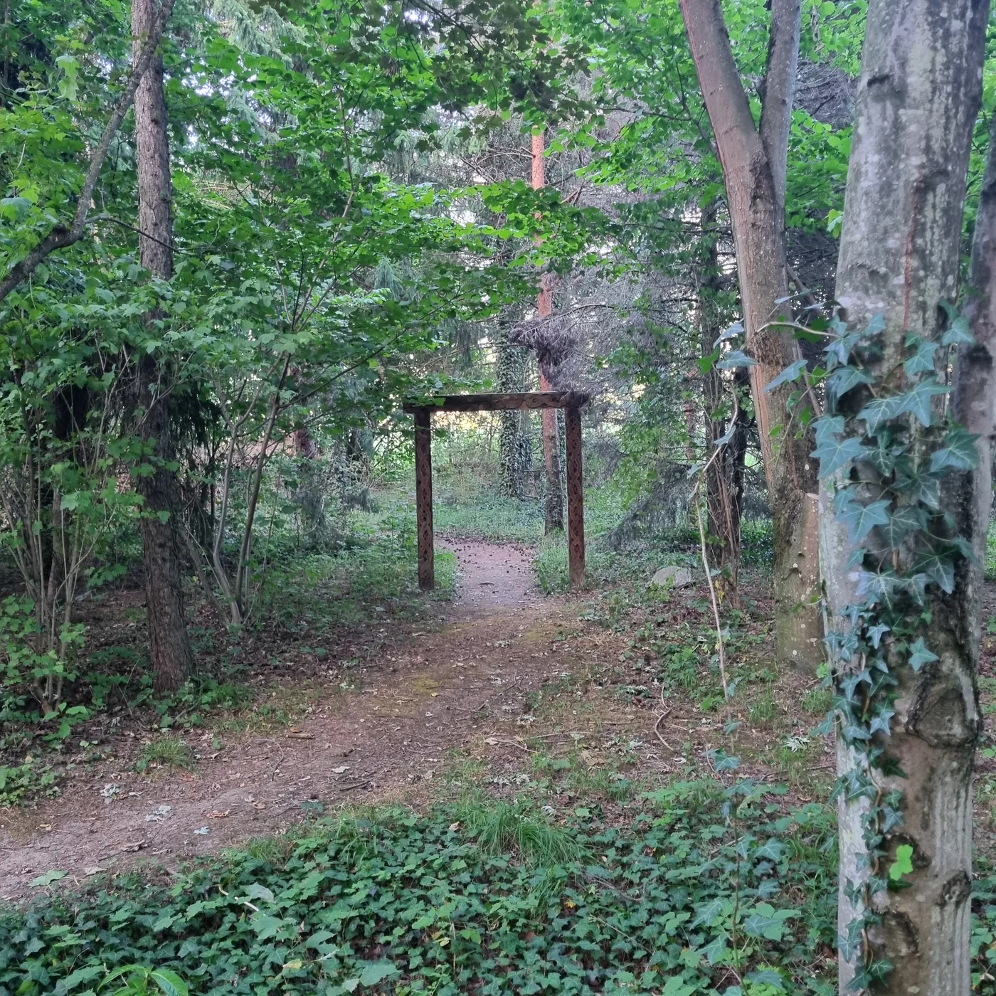 Chemin en forêt pour illustrer un cadre d'accompagnement apaisant