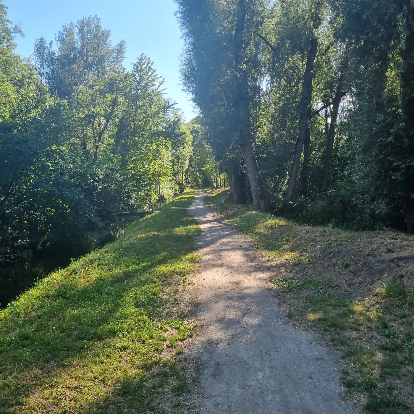 Chemin calme en nature pour illustrer l'hypnose